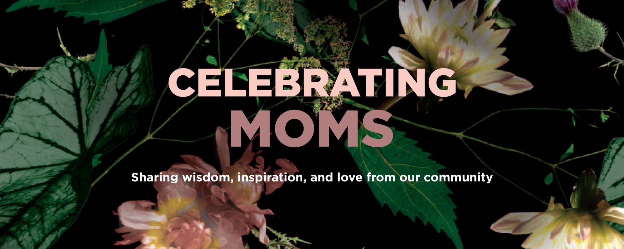 Celebrating Moms